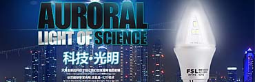 LED行业网站建设方案